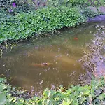 Romantique Avec Jaccuzi Prive - La D'elise 3* Grumesnil