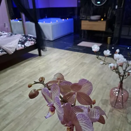 Loveroom - Les D'élise - élise Maison d'hôtes 3*