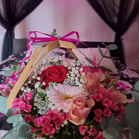 ゲストハウス Loveroom - Les D'elise - Elise Grumesnil