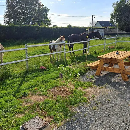 Loveroom - Les D'elise - Elise ゲストハウス