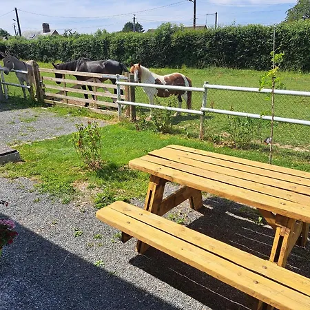 Loveroom - Les D'elise - Elise 3* Grumesnil